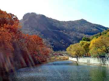 正版澳门天天开彩大全，福田三轮摩托车价格